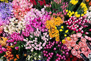 11月2日上市Xbox版《仙剑奇侠传7》发布预告