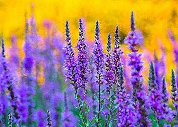 《潜行者2》PC和主机版都会支持MOD